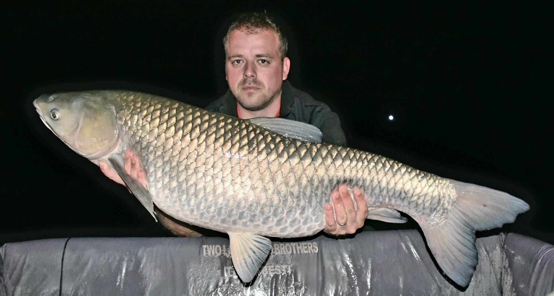 Tancabesti 5 - 8 sep. - 20170908115542.jpg